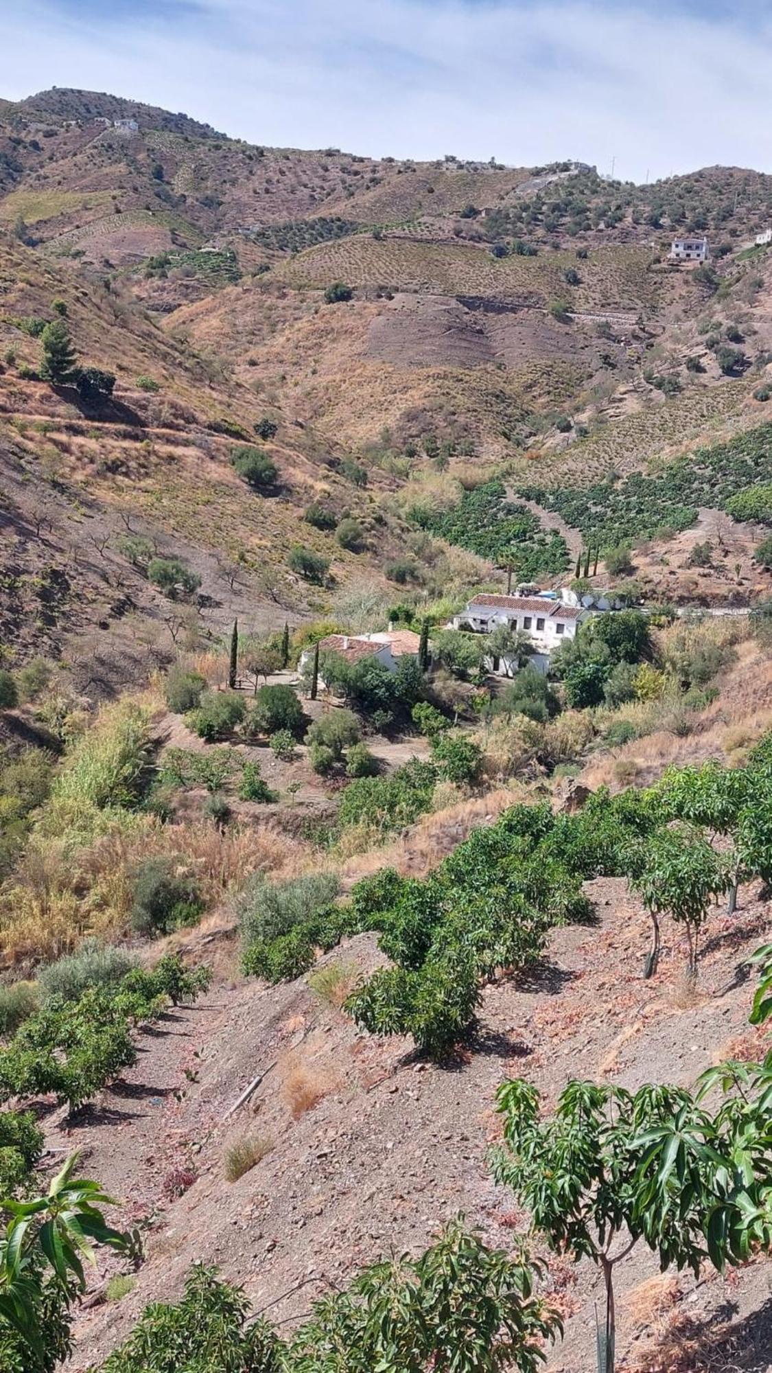 Cortijo Lagar De Luisa Guest House Borge Eksteriør bilde