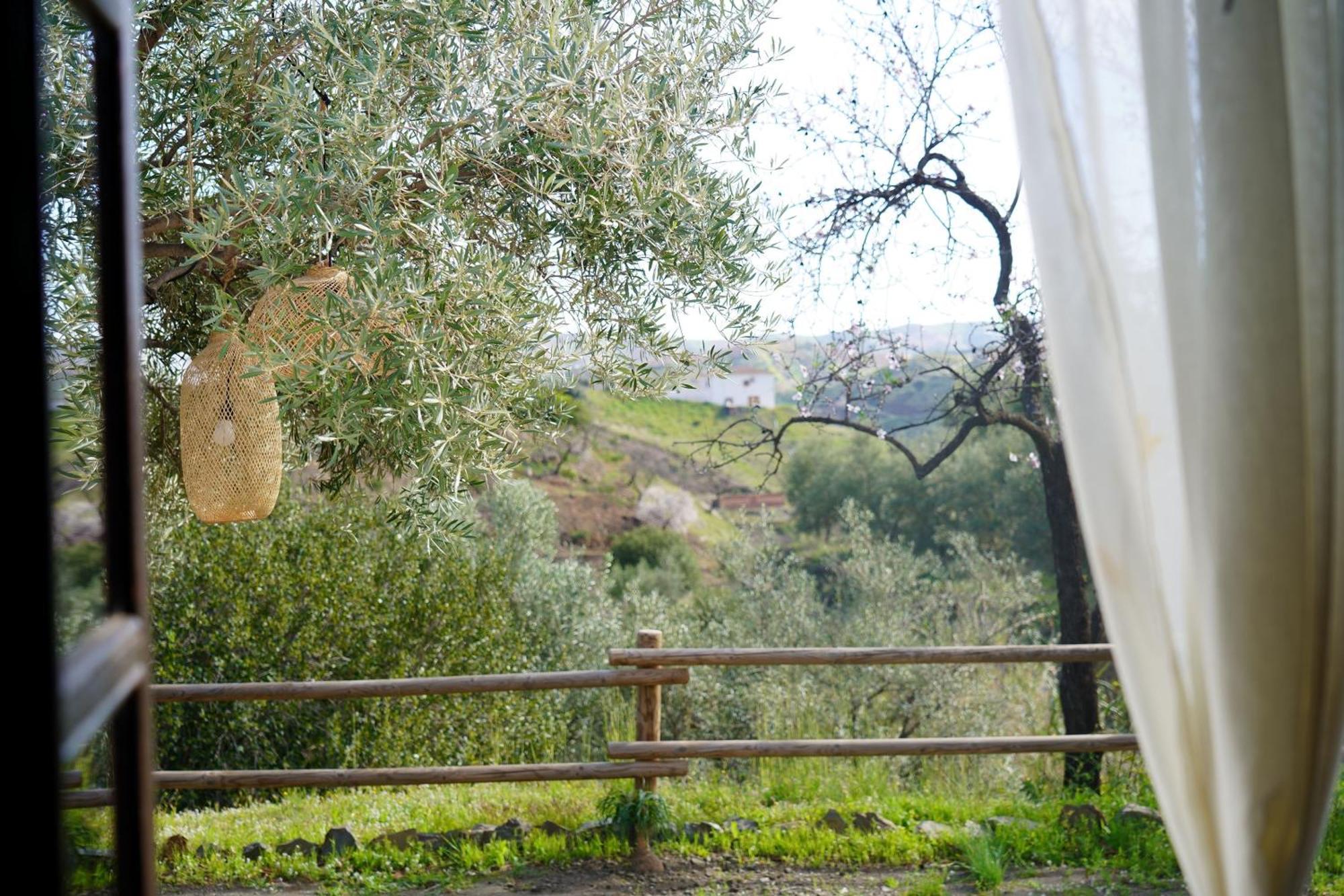 Cortijo Lagar De Luisa Guest House Borge Eksteriør bilde