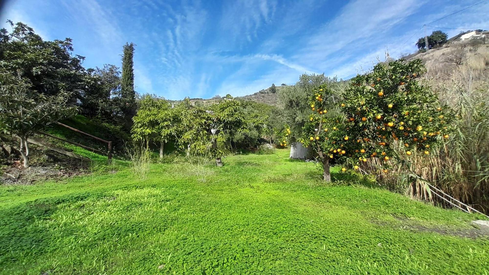 Cortijo Lagar De Luisa Guest House Borge Eksteriør bilde