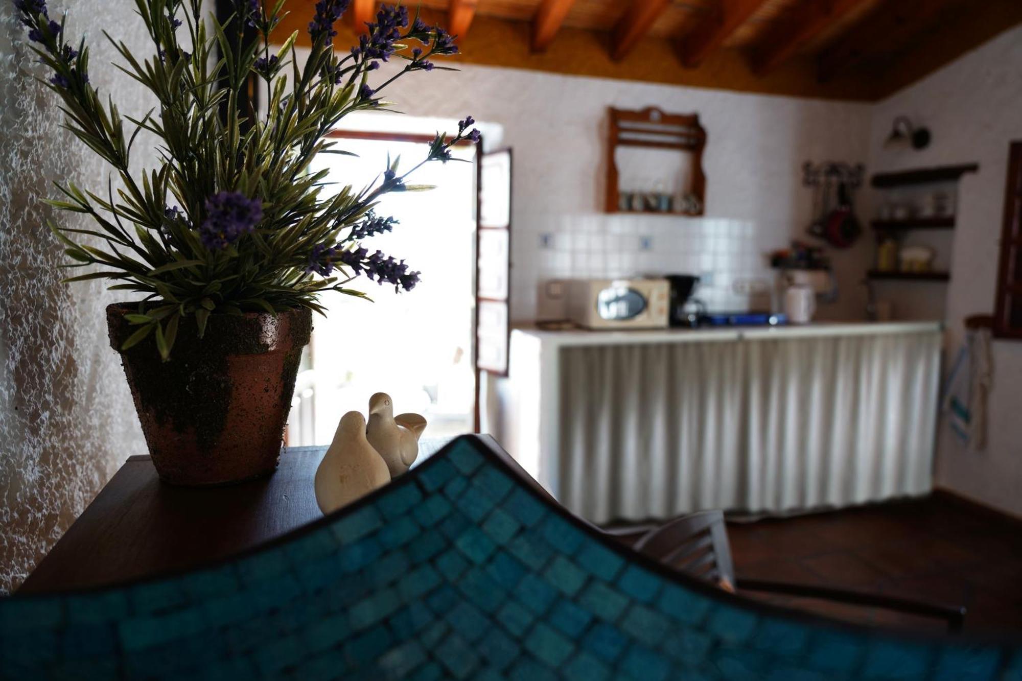 Cortijo Lagar De Luisa Guest House Borge Eksteriør bilde
