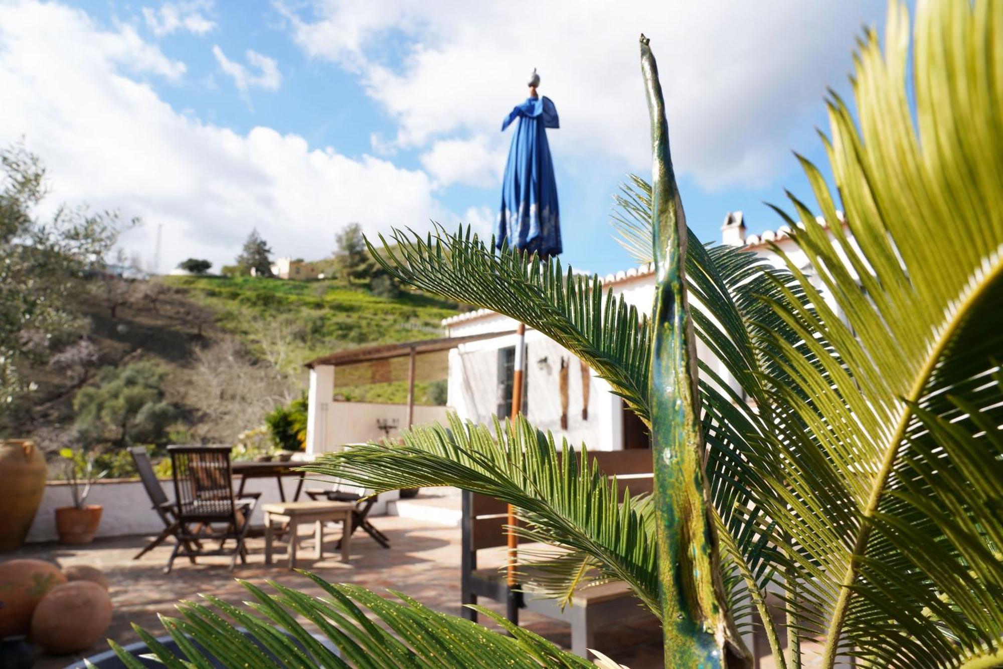 Cortijo Lagar De Luisa Guest House Borge Eksteriør bilde