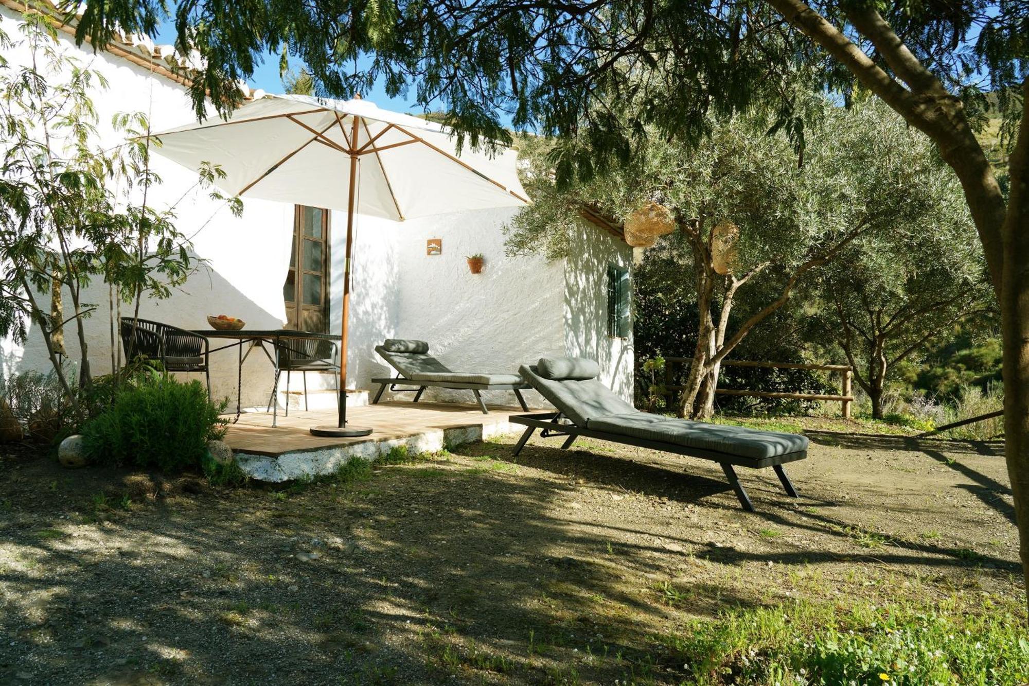 Cortijo Lagar De Luisa Guest House Borge Eksteriør bilde