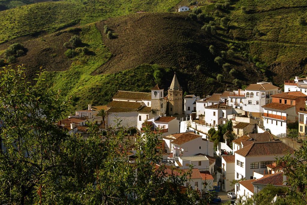 Cortijo Lagar De Luisa Guest House Borge Eksteriør bilde