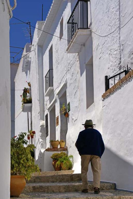 Cortijo Lagar De Luisa Guest House Borge Eksteriør bilde